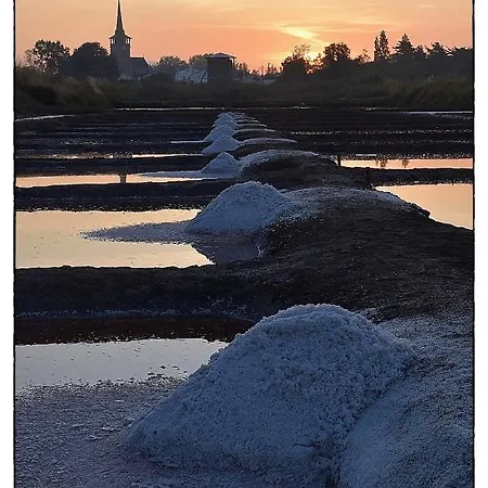 Appartement Le Calypso *