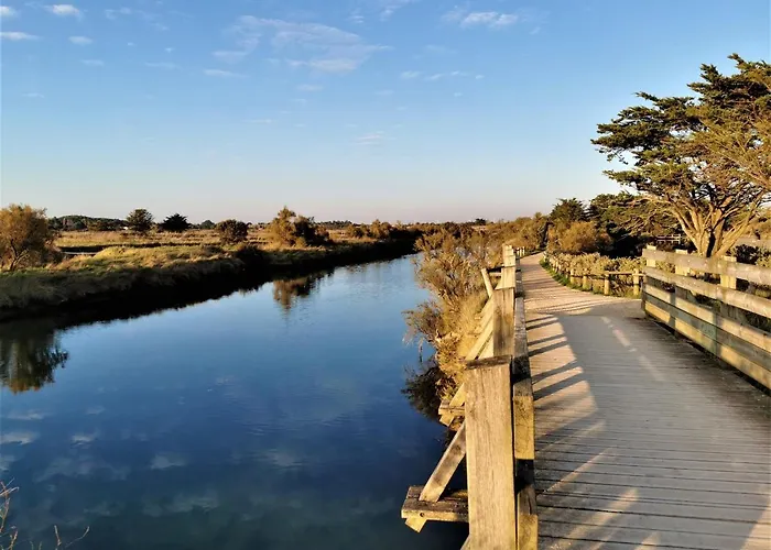 公寓 Le Calypso 莱萨布勒-多洛讷